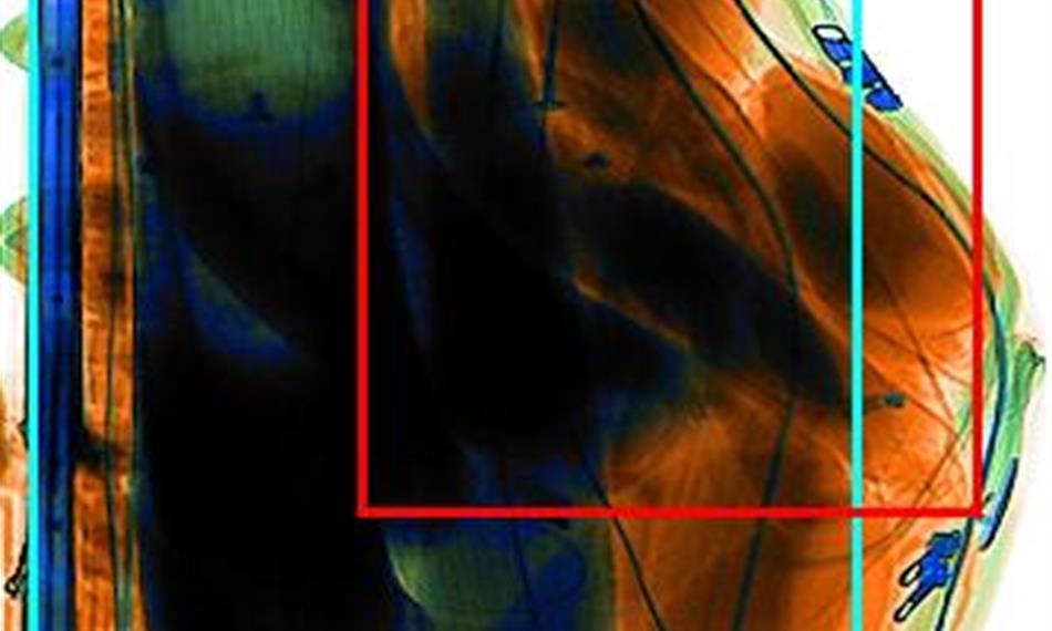 2014-2-24-12203. foto-sloní kly.jpg